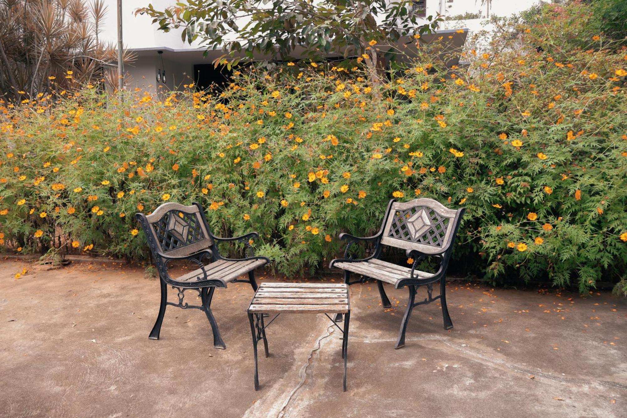Hostel Stories Mysore Εξωτερικό φωτογραφία